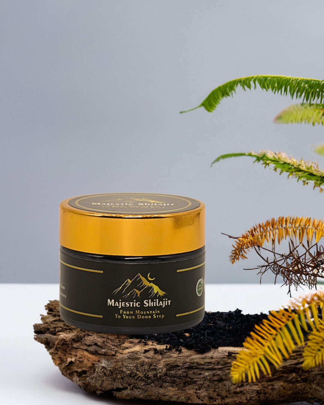 Expert's Approved Himalayan Shilajit